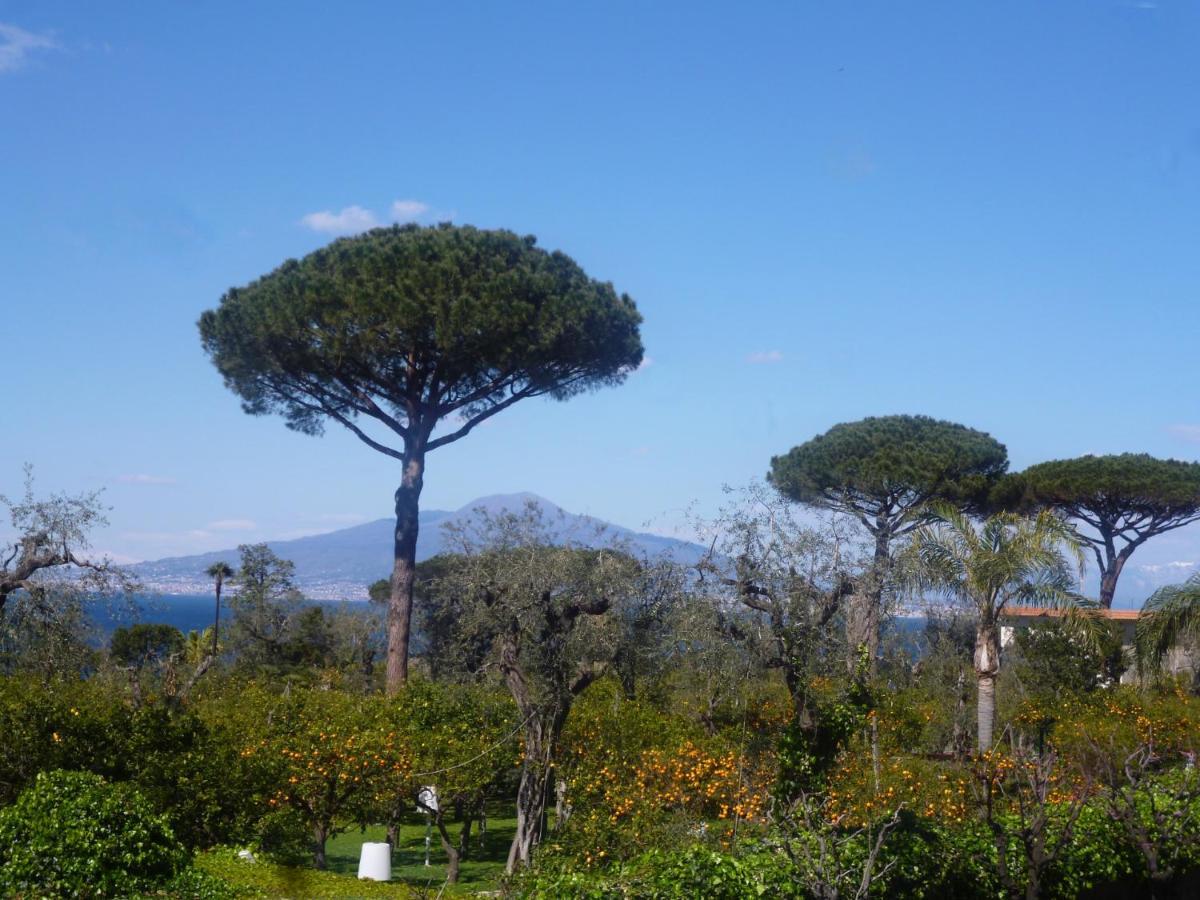 Angelina Suite B&B - Sorrento Centro Kültér fotó